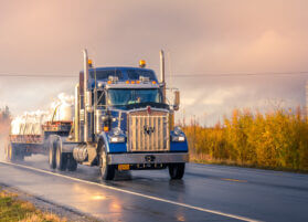 e3112eeae56852c358675db27011a61c